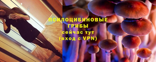 прущие грибы Алексеевка