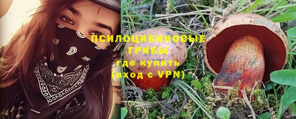 круглые Алзамай