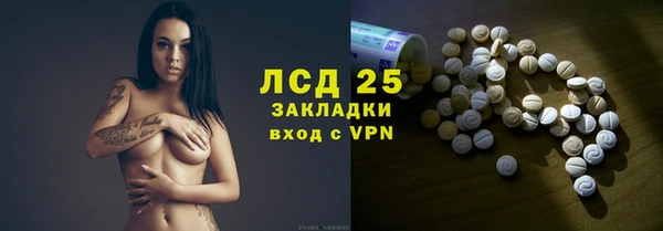 прущие грибы Алексеевка