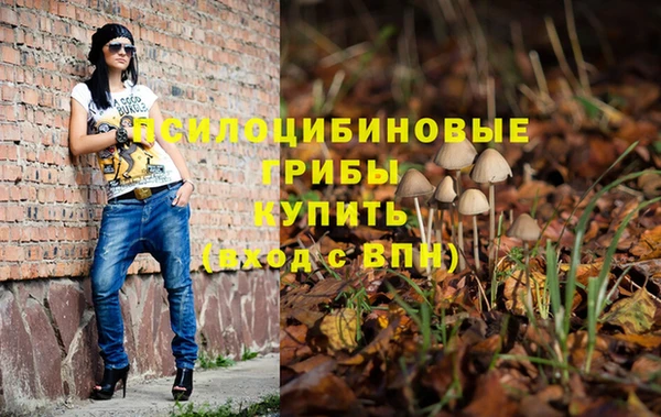 прущие грибы Алексеевка