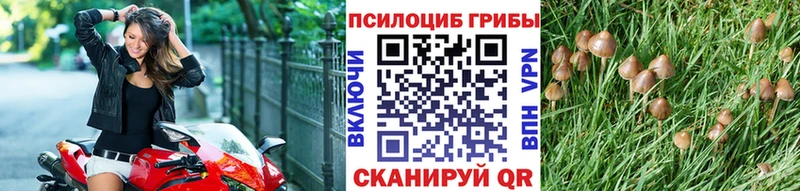 Галлюциногенные грибы мицелий  Кинель 
