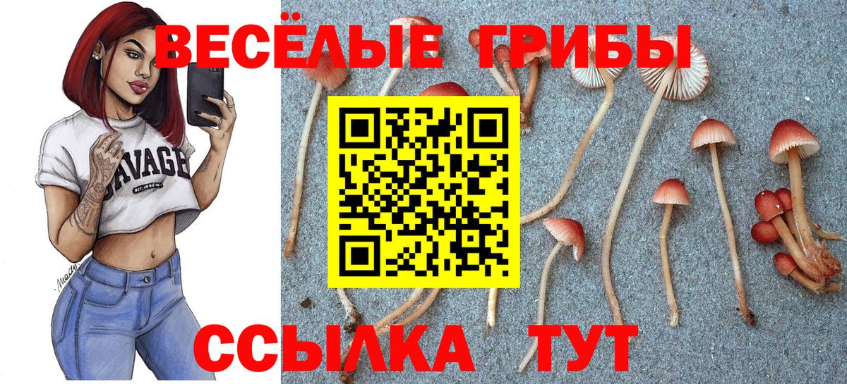 Псилоцибиновые грибы Cubensis  продажа наркотиков  Кинель  Вход с VPN 