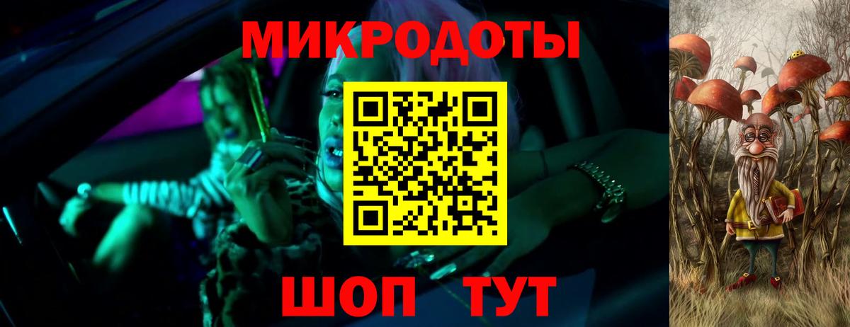 Галлюциногенные грибы Psilocybe Кинель